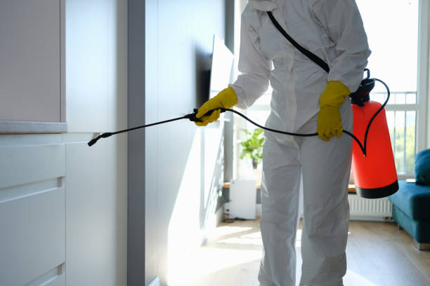 Best Industrial Mold Remediation in Cross Roads, TX