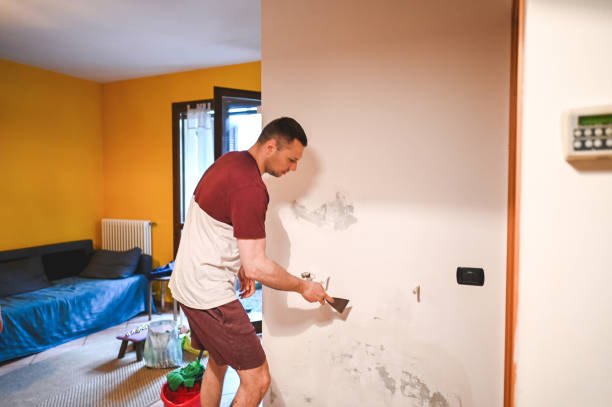Best Post-Flood Mold Remediation in Cross Roads, TX