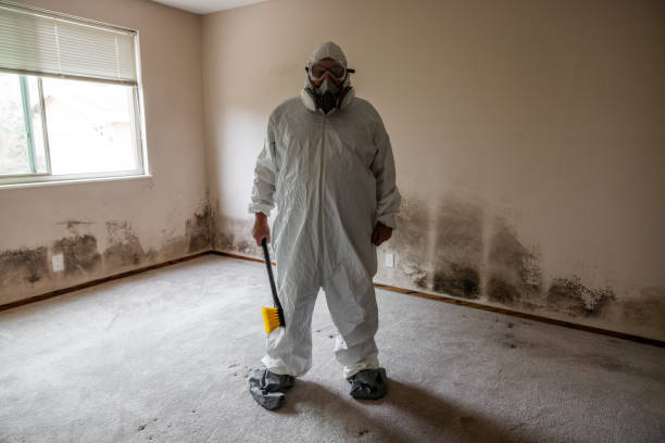Best Emergency Mold Remediation in Cross Roads, TX